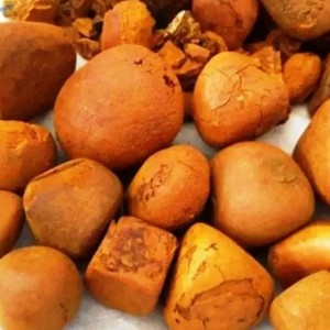 Organic Cattle Gallstones