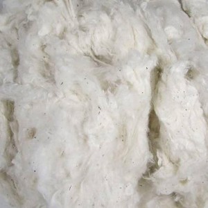 Organic Cotton Waste