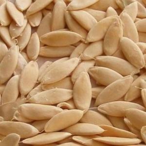 Organic Cucumber Seeds