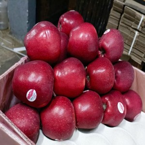 Organic Delicious Apple