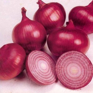 Organic Fresh Onion