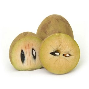 Organic Fresh Sapota