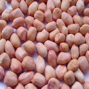 Organic Groundnut Kernels