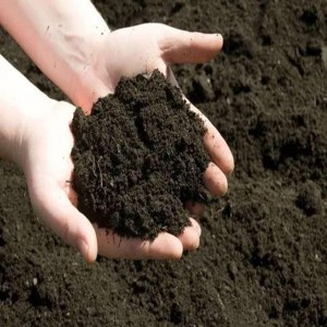 Organic Vermi Compost