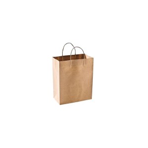 Paper Craft Bags