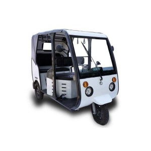 Passenger E-Rikshaw