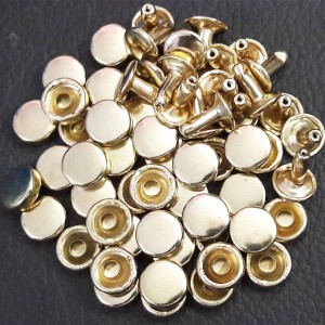 Pearl Brass Rivet