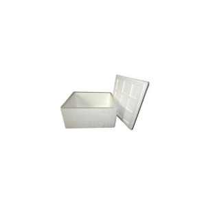 Pharmaceutical Thermocol Boxes