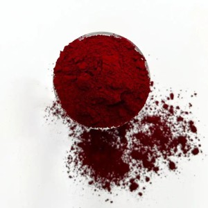 Pigment Lip Powder 