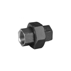 Pipe MS Forged Fittings