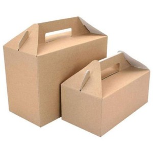 Plain Cardboard Food Packaging Box, Unbranded single