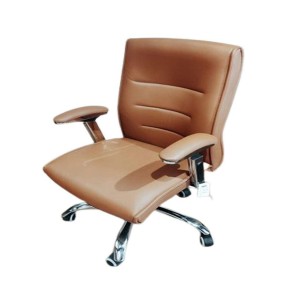Plain Leather Chair