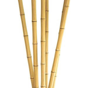 Plastic Bamboo Sticks, Good looking, crafted, heavy duty