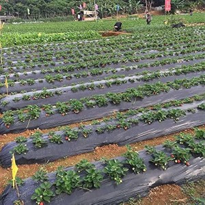 Plastic Mulching Film