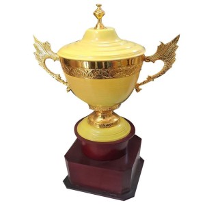 Plastic Sports Trophy