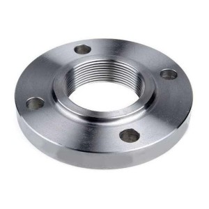 Polished Mild Steel Flange
