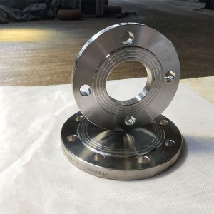 Polished MS Flanges