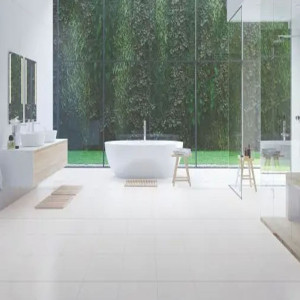 Polished Plain Bathroom Tiles
