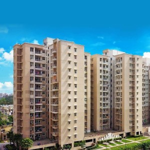 Polished Residential Projects