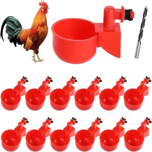 Poultry Chicken Drinker