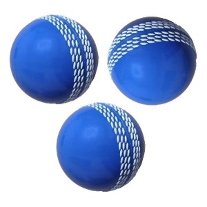Practice Cricket Balls