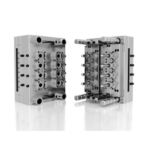 Preform Injection Cavity