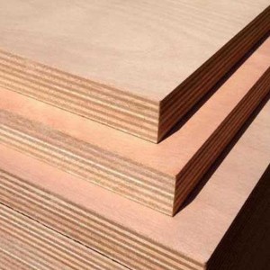 Premium Commercial Plywood