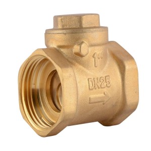 Prime Non Return Valve