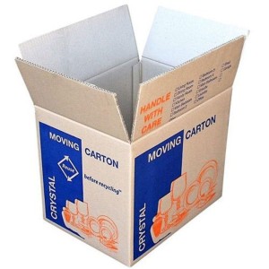 Printed Carton Box