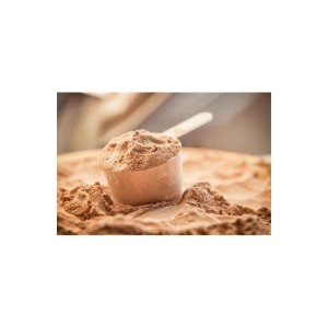 Protein Supplement Testing Services