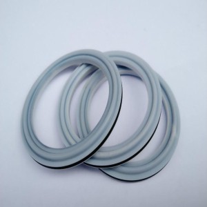 PTFE Seals Ring