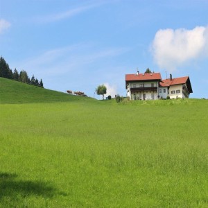 Purchase Agricultural Lands