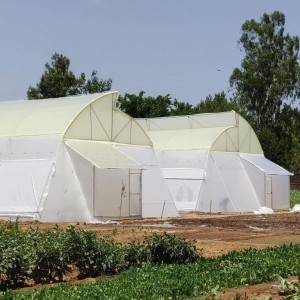 Pvc Ventilated Polyhouse