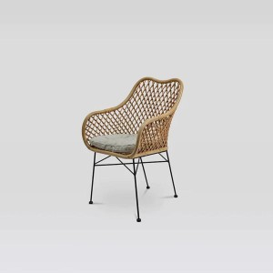 Rattan Iron Chair