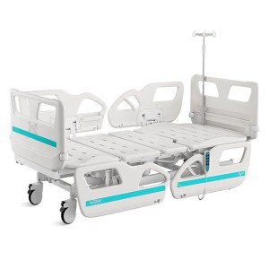 Rectangular Five Functional Electric Bed