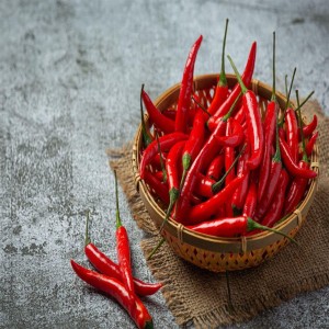 Red Chilli, Home, restaurants use, hot, spicy