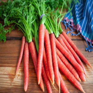 Red Fresh Carrots