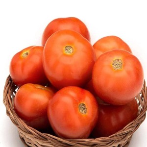 Red Fresh Tomato