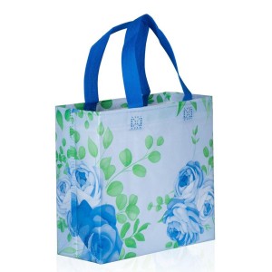 Reusable Non-Woven Print Bag, Laminated, small size