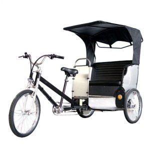 Rickshaw Electric Bike