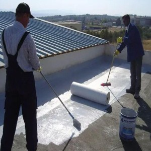 Rooftop Waterproofing Service