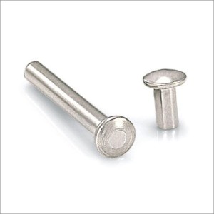 Round Head SS Rivets