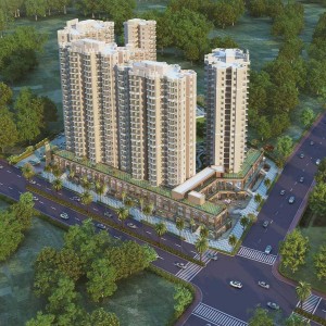 Royal Ongoing Projects