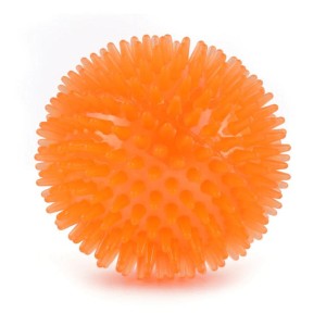 Rubber Squeaky Dog Toy