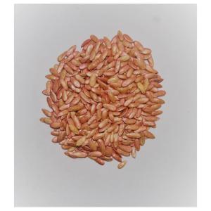 Sagar Hybrid Kasturi Muskmelon Seeds