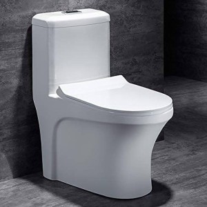 Sanitary Toilet Commode