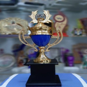School Award Trophy