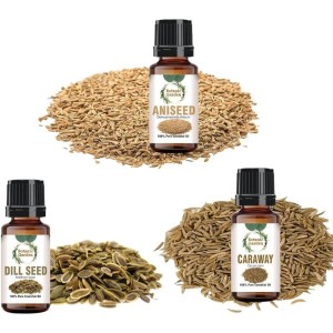 Seed Anis Oil