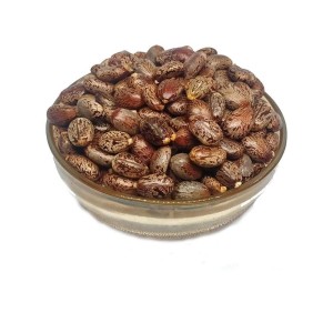 Seeds Organic Castor 