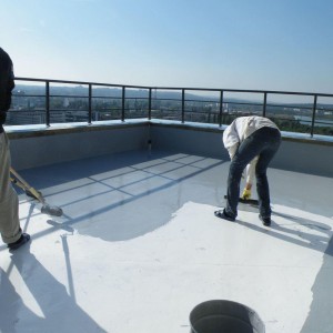 Segment Commercial Waterproofing